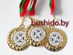 Золото 1-ого чемпионата по джиу-джитсу и самозащите